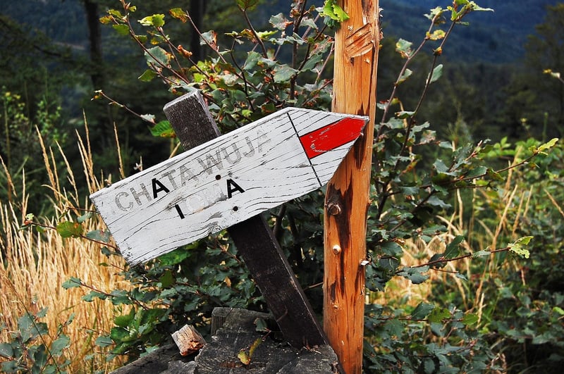 Nature Trail Mindfulness